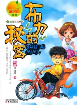 布力的秘密封面图