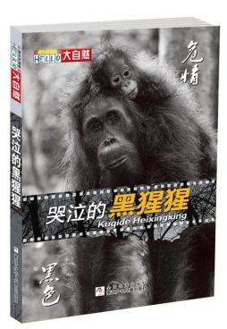 哭泣的黑猩猩封面图