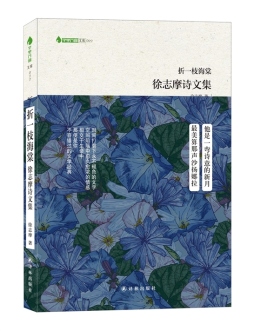 折一枝海棠封面图