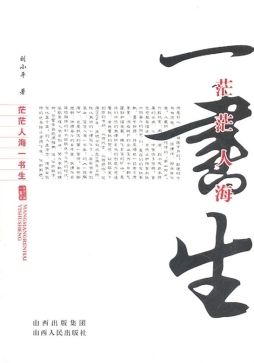 茫茫人海一书生封面图