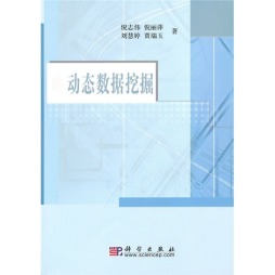 动态数据挖掘封面图