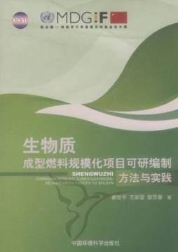 生物质成型燃料规模化项目可研编制方法与实践封面图