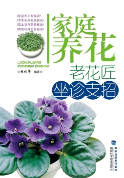 家庭养花封面图