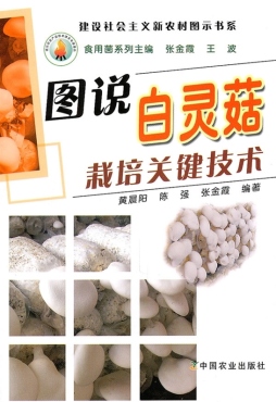 图说白灵菇栽培关键技术封面图