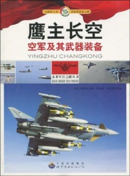 鹰主长空封面图