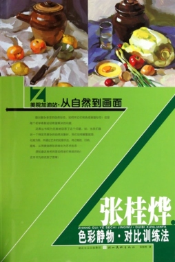 张桂烨色彩静物对比训练法封面图