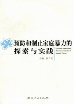 预防和制止家庭暴力的探索与实践封面图