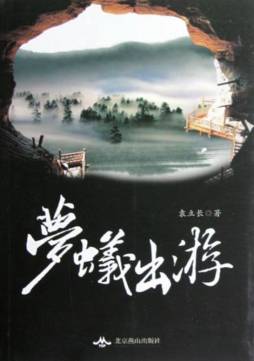 梦蚁出游封面图