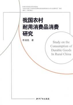 农村耐用消费品消费研究封面图
