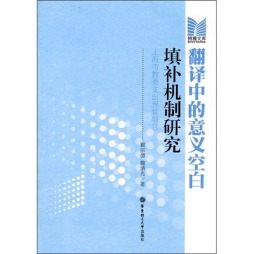 翻译中的意义空白填补机制研究封面图