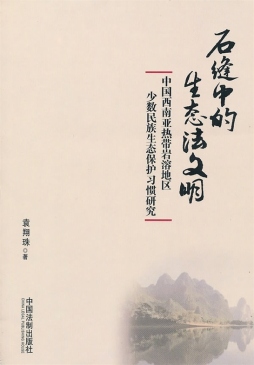 石缝中的生态法文明封面图