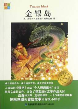 金银岛封面图