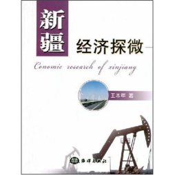新疆经济探微封面图
