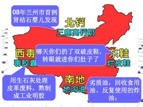 2019-2020学年人教版高中地理必修2课件：第六单元问题研究-“绿色食品知多少” 课件(共29张PPT)