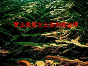 2019-2020学年鲁教版高中地理必修3课件：3.1区域水土流失及其治理--以黄土高原为例（31张）