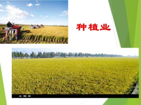 2019-2020学年人教版高中地理必修2课件：3.2以种植业为主的农业地域类型课件（共28张PPT）