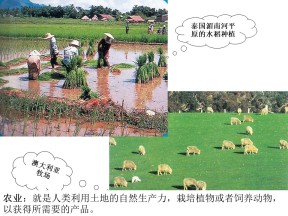 2019-2020学年人教版高中地理必修2课件：3.1农业的区位选择 (共76张PPT)