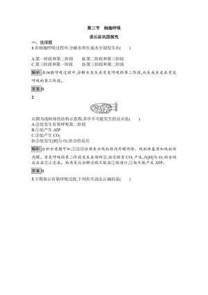 2019-2020学年 苏教版 必修1 细胞呼吸 作业