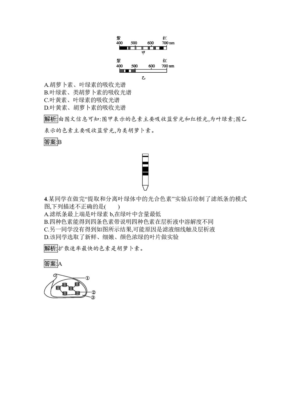 2019-2020学年 苏教版 必修1  光合作用 作业第2页