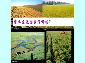 2019-2020学年人教版高中地理必修2课件：3.2以种植业为主的农业地域类型(共37张PPT)