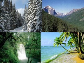 2019-2020学年鲁教版高中地理必修3课件：1.2自然环境和人类活动的区域差异—英日区域差异(共75张PPT)