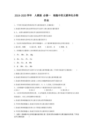 2019-2020学年  人教版 必修一  细胞中的元素和化合物 作业