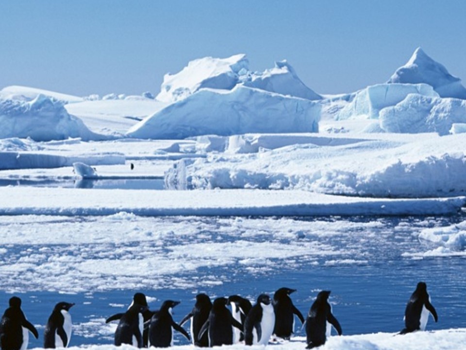 2019-2020学年中图版高中地理必修1课件：2.1气压带和风带对气候的影响(共34张PPT)第2页