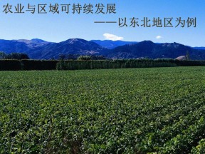 2019-2020学年鲁教版高中地理必修3课件：4.2农业与区域可持续发展——以东北地区为例(共55张PPT)