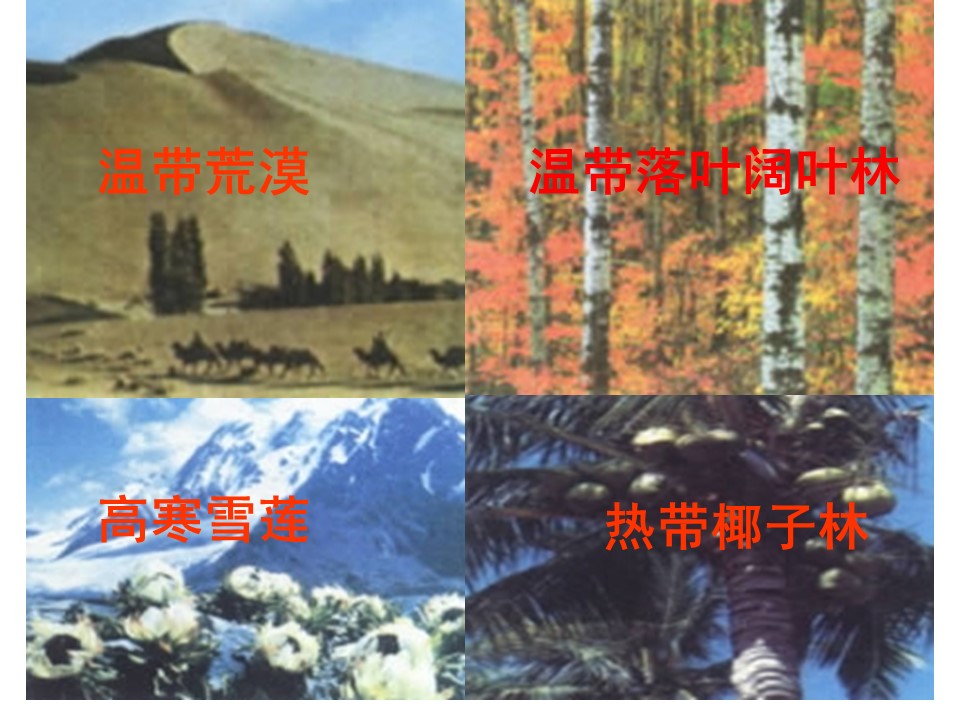 2019-2020学年鲁教版高中地理必修3课件：1.2自然环境和人类活动的区域差异(共41张PPT)第2页