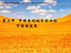 2019-2020学年中图版高中地理必修3课件：2.3《中国东北地区农业的可持续发展》(共25张PPT)