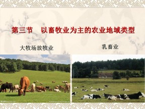 2019-2020学年人教版高中地理必修2课件：3.3以畜牧业为主的农业地域类型大牧场放牧业(共65张PPT)