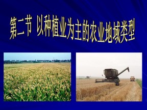 2019-2020学年人教版高中地理必修2课件：3.2以种植业为主的农业地域类型课件 (共35张PPT)