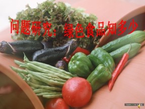2019-2020学年人教版高中地理必修2课件：第六单元问题研究-绿色食品知多少  课件（共41张PPT）