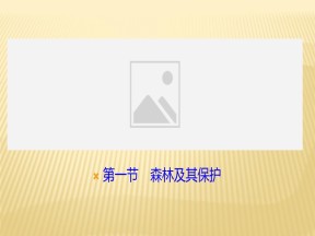 2019-2020学年 人教版 选修六 ：第四章+第一节　森林及其保护+课件（23张）