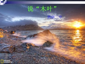 2019--2020学年人教版高二语文必修五课件：9 说木叶(共20张PPT)