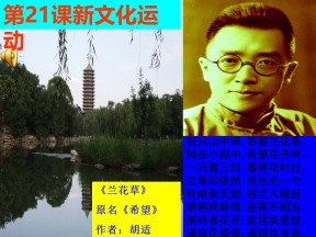 2019-2020学年岳麓版必修三  第21课 新文化运动  课件 (24张)