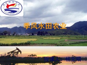 2019-2020学年人教版高中地理必修2课件：3.2以种植业为主的农业地域类型-季风水田农业27张ppt)