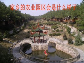 2019-2020学年人教版高中地理必修2课件：第三单元问题研究-家乡的农业园区会是什么样子（共21张PPT）