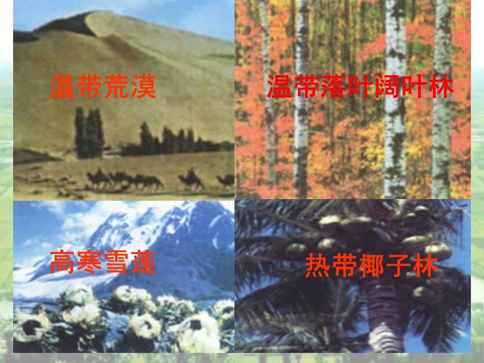 2019-2020学年鲁教版高中地理必修3课件：1.2自然环境和人类活动的区域差异(共45张PPT)第1页