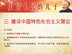 2019—2020学年人民版必修三专题四第3课 建设中国特色社会主义理论 【人民版】 [课件]