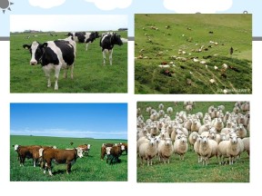 2019-2020学年人教版高中地理必修2课件：3.3以畜牧业为主的农业地域类型 （26张PPT）