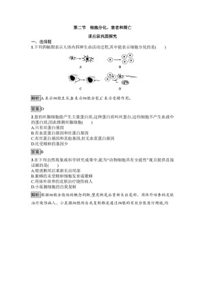 2019-2020学年 苏教版 必修1 细胞分化、衰老和凋亡 作业