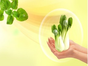 2019-2020学年人教版高中地理必修2课件：第三单元问题研究-家乡的农业园区会是什么样 课件（共20张PPT）