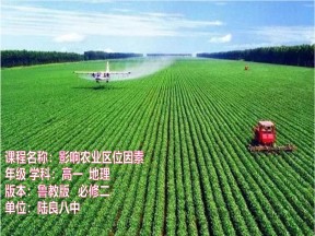 2019-2020学年人教版高中地理必修2课件：3.1影响农业区位的因素(共38张PPT)