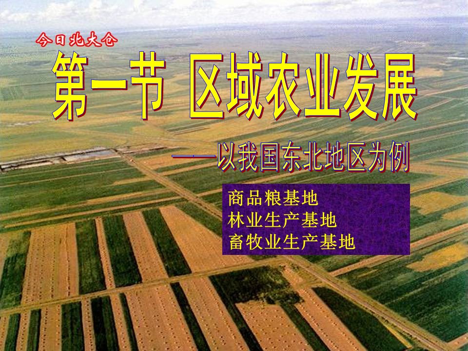 2019-2020学年人教版高中地理必修3课件：4.1区域农业发展——以我国东北地区为例(共26张PPT)第1页