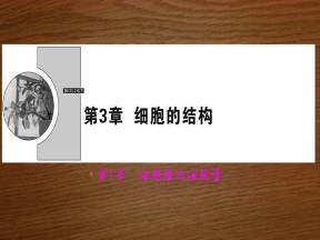 2019-2020学年 北师大版 选修1 细胞膜与细胞壁（40张） 课件