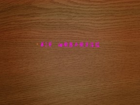 2019-2020学年 北师大版 选修1 细胞器与胞质溶胶（49张） 课件