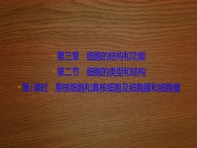 2019-2020学年 苏教版 必修一 原核细胞和真核细胞及细胞膜和细胞壁  (47张)课件