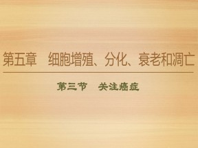 2019-2020学年 苏教版  必修一 关注癌症   课件  (41张)