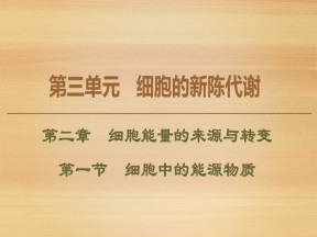2019-2020学年 中图版 必修1 细胞中的能源物质（57张） 课件
